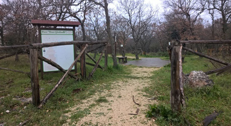 Il ritorno del bosco a Noci