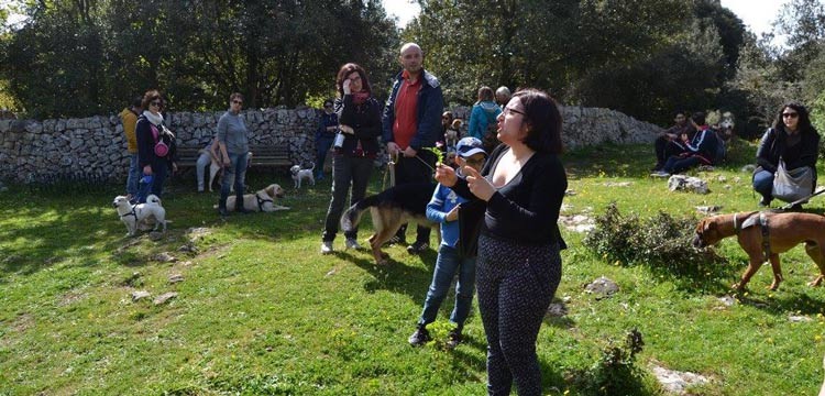 Camminare nei boschi a 2 o a 6 zampe