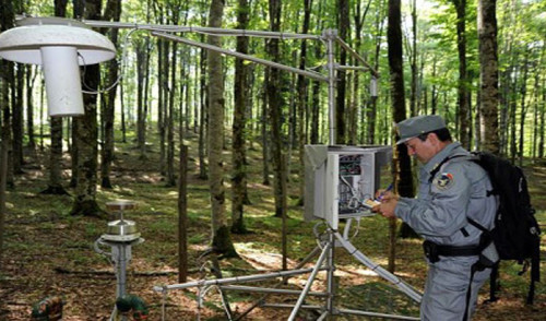 CFS: online tutte le informazioni sulle foreste italiane