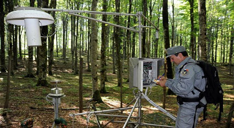CFS: online tutte le informazioni sulle foreste italiane