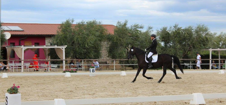 Dressage: argento regionale per il binomio Filioli-Betulla