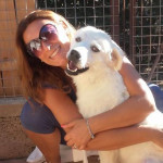 sos4zampe-ardone-cane