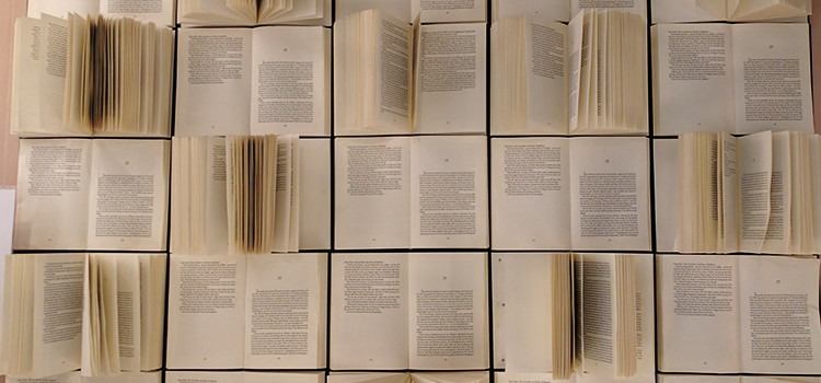 Il valore della lettura: molti autori, pochi lettori