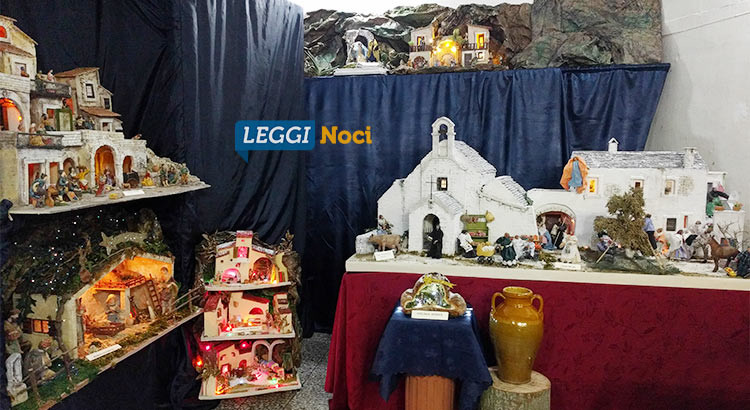 SpaccaNoci: un mix di arte e passione