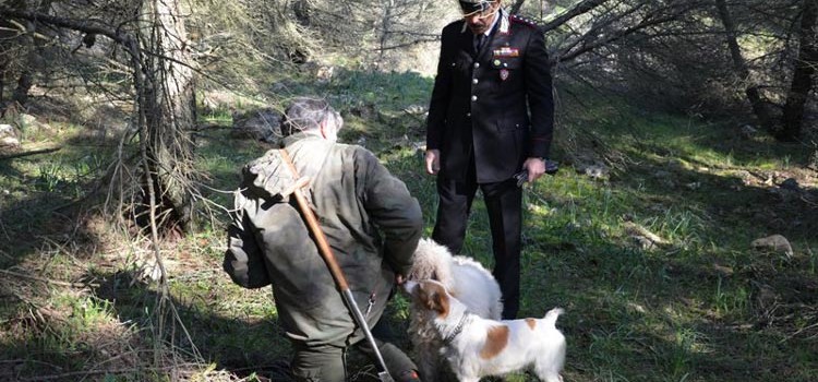 Parco Alta Murgia: scoperti falsi tesserini per raccogliere tartufi