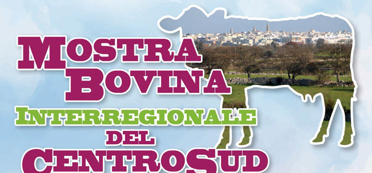 Zootecnia: al Foro Boario l’11^ edizione della Mostra Bovina Interregionale