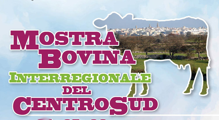 Zootecnia: al Foro Boario l’11^ edizione della Mostra Bovina Interregionale