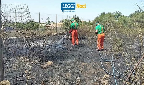 Bruciano 700mq di incolto, avviati accertamenti in materia di AIB
