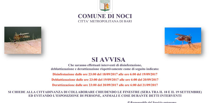Intervento di disifenstazione