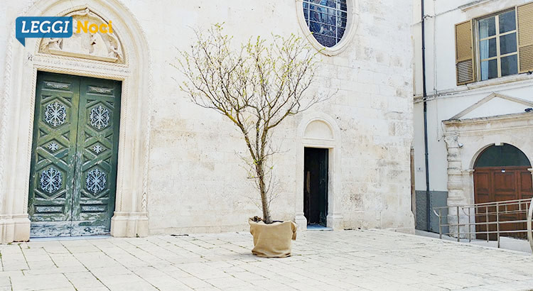 L’Albero di Pasqua: un’insolita tradizione riscoperta dalla Chiesa Madre L’Albero di Pasqua: un’insolita tradizione riscoperta dalla Chiesa Madre