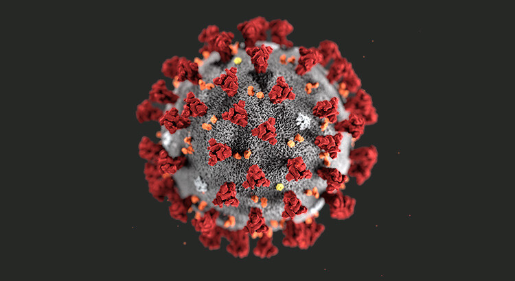 Calano i contagi; vaccini: 5997 dosi somministrate ai nocesi
