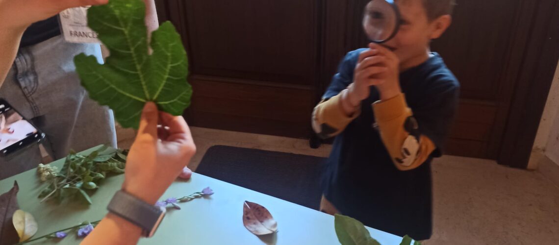 Biblioteca comunale: letture e laboratorio sensoriale per bimbe e bimbi dai 5 ai 7 anni