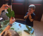 Biblioteca comunale: letture e laboratorio sensoriale per bimbe e bimbi dai 5 ai 7 anni